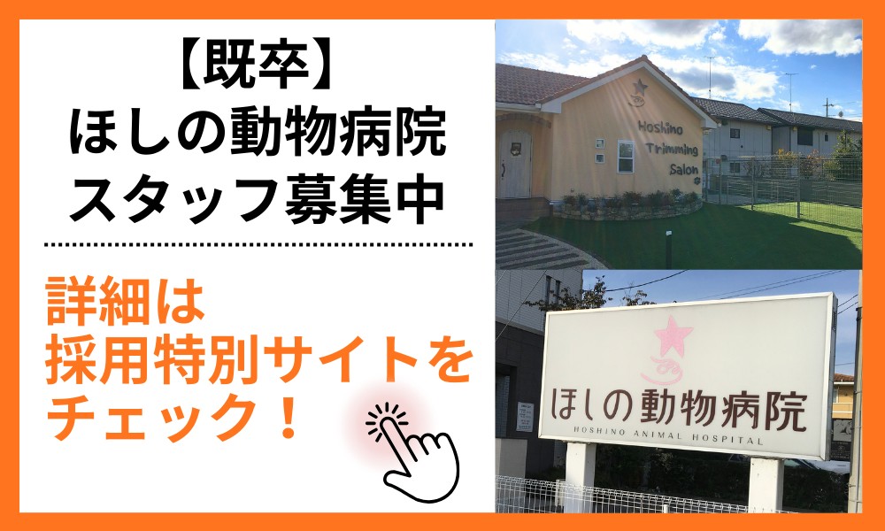 ほしの動物病院スタッフ募集中