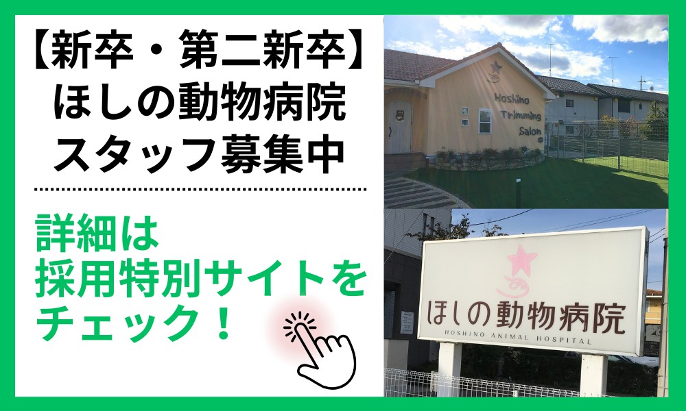 ほしの動物病院スタッフ募集中