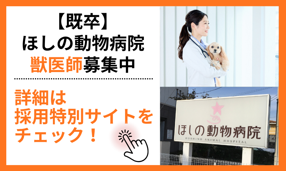 ほしの動物病院【既卒】獣医師募集中
