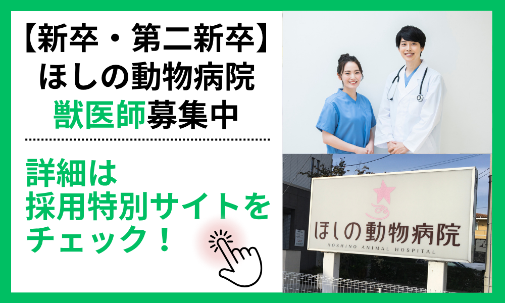 ほしの動物病院【新卒】獣医師募集中