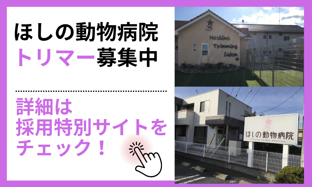 ほしの動物病院トリマー募集中